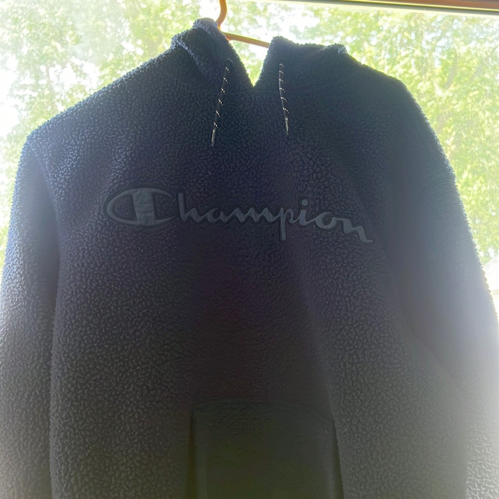 Fur type champion hoodie. Size Medium. Work once or twice.